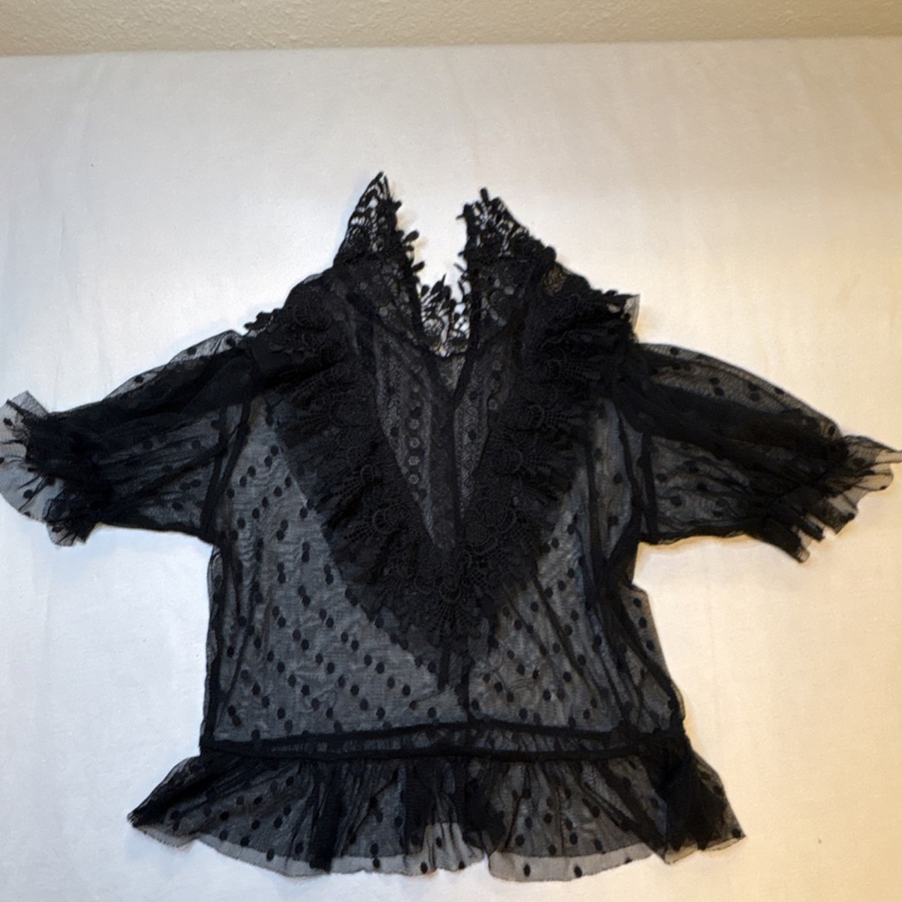 Zara Woman Black Sheer Swiss Dot Lace Trim Ruffle Top Blouse Victorian Goth M